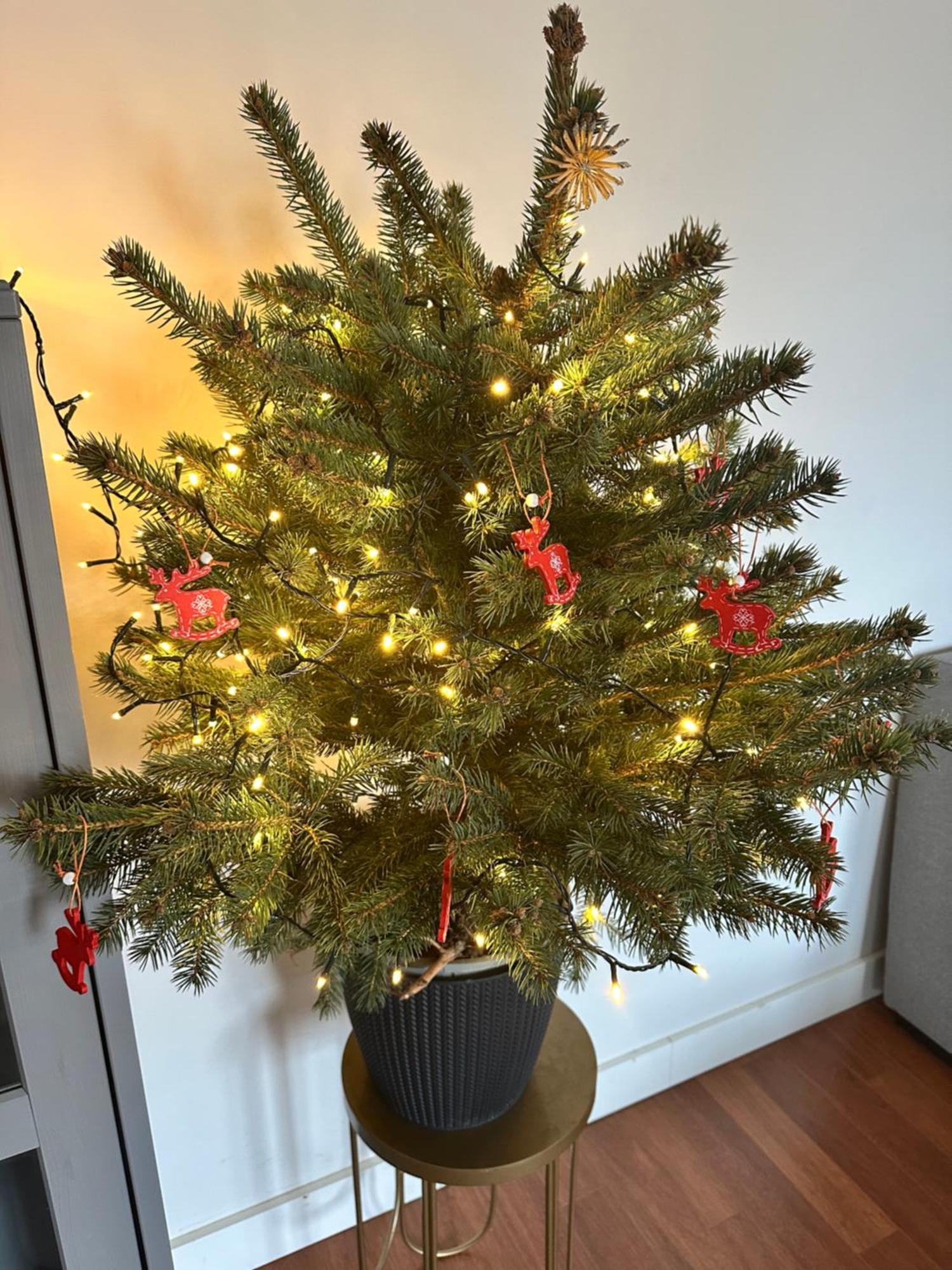 Apartament Sopot Luaran gambar